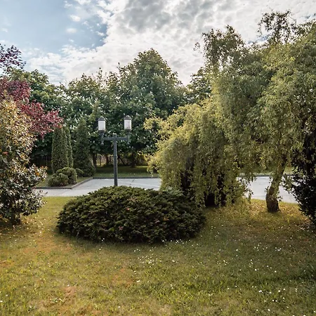 Zur Fähre Greifswald